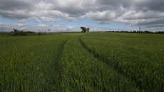 Místo nedaleko obce Rtyně nad Bílinou kde by měly vyrůst obří skladovací haly. Místo nedaleko obce Rtyně nad Bílinou kde by měly vyrůst obří skladovací haly.