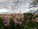 Jarní Praha Jarní Praha