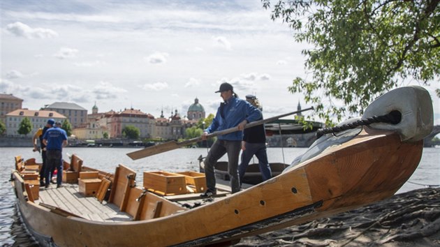 Pokldn rakouskch pramic zille (cle) na Vltav u Hergertovy cihelny. (13.5.2019)