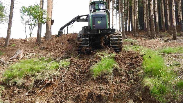 Ekologov opakovan kritizuj zpsob, jakm se v Jesenkch bojuje proti krovci. Vsledkem masivnho kcen v mn chrnnch stech mimo rezervace jsou rozshl holiny.