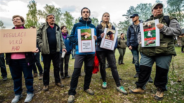 Chovatel ve Vernovicch na Broumovsku protestovali proti nekontrolovanmu en vlka (10. 5. 2019).