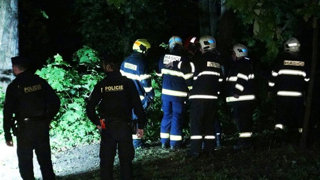 Tento plan olach oderpal z vkonu sluby nkolik destek policist, ale i hasi. (11.5.2019)