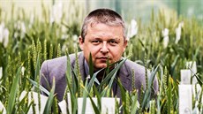 Ivo Sedláček, generální ředitel firmy Selgen, která je největším tuzemským... Ivo Sedláček, generální ředitel firmy Selgen, která je největším tuzemským...
