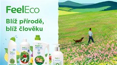 Alergeny v domácnosti: Pod svícnem je tma. Alergeny v domácnosti: Pod svícnem je tma.