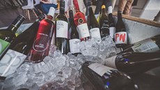 Členové spolku Mladí vinaři při degustacích dávají své lahve do necek s ledem. Členové spolku Mladí vinaři při degustacích dávají své lahve do necek s ledem.