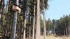 Ve Slavkovském lese se testuje budka k ochraně netopýrů, kterou navrhl student... Ve Slavkovském lese se testuje budka k ochraně netopýrů, kterou navrhl student...