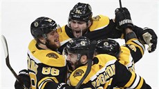 David Pastrňák (vlevo) z Bostonu se raduje se spoluhráči z gólu v zápase s... David Pastrňák (vlevo) z Bostonu se raduje se spoluhráči z gólu v zápase s...