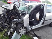 U Mirovic řidič narazil do stromu, utrpěl smrtelná zranění. (26. 5. 2019) U Mirovic řidič narazil do stromu, utrpěl smrtelná zranění. (26. 5. 2019)