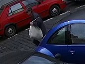 Kriminalisté hledají muže, který s pistolí v ruce přepadl kadeřnictví. Kriminalisté hledají muže, který s pistolí v ruce přepadl kadeřnictví.