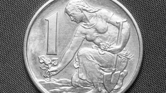 Korunov mince, kterou platili lid od 2. z 1957, nese motiv eny szejc lpu. Snad krom autorky nikdo netuil, e na minci je politick vzenkyn Bedika Synkov. Kdy se s minc zaalo platit, byla ve vzen.