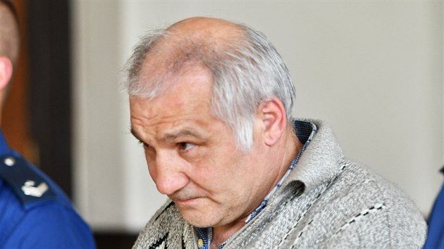 Brnnsk krajsk soud rozhodl o vydn idie kamionu Jaroslava Novotnho z Hodonnska nmeck justici, u n se bude kvli nebezpenmu pedjdcmu manvru zpovdat z pokusu o vradu.