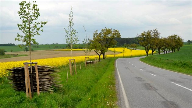 Silnice mezi Předhradím a Krounou je známá svými zrádnými serpentinami.