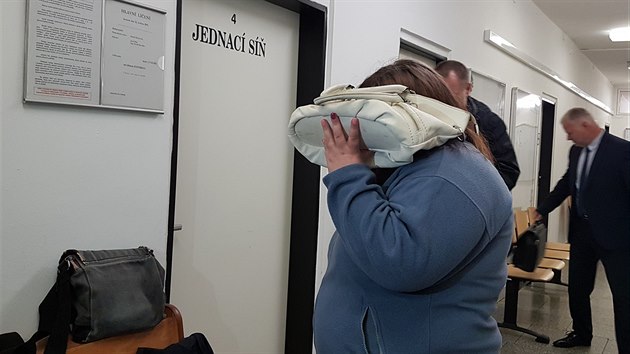 steck krajsk soud poslal na 15 let do vzen 31letou enu za vradu novorozence. Tlko bylo ped rokem nalezeno v kontejneru v Teplicch. (22. kvtna 2019)