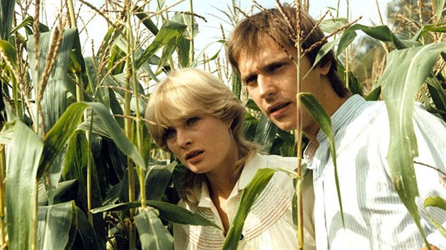 Veronika Knsk a Pavel Kikinuk ve filmu Slunce, seno, jahody (1983)