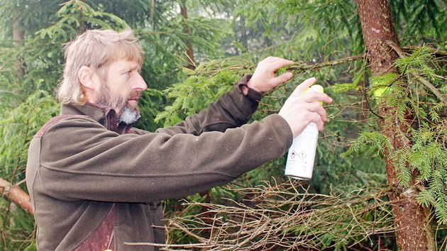 Lesnk oznauje sprejem stromy, kter jsou vhodn ke zpracovn (21. 5. 2019).