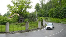 Osm století starý dub stojí u silnice, která vede na zámek v Námti nad...