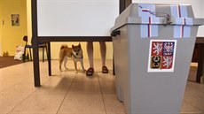 Volební místnost v kulečníkovém klubu ve Zlíně, kde 25. května 2019 lidé... Volební místnost v kulečníkovém klubu ve Zlíně, kde 25. května 2019 lidé...