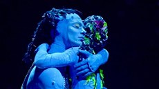 Cirque du Soleil - Toruk - The First Flight Cirque du Soleil - Toruk - The First Flight
