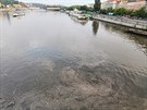 Příčina je nedbalost z lodě, která vypustila odpadní látky, které škodí životnímu prostředí.
Příčina je nedbalost z lodě, která vypustila odpadní látky, které škodí životnímu prostředí.