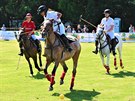 Zajímavou podívanou mohli návštěvníci vidět dnes před oborou Hvězda v Praze 6. Konala se zde sportovní akce "Britské pólo v parku". Cílem exhibičních utkání bylo představit veřejnosti v České republice stále poměrně netradiční sport.
Zajímavou podívanou mohli návštěvníci vidět dnes před oborou Hvězda v Praze 6. Konala se zde sportovní akce "Britské pólo v parku". Cílem exhibičních utkání bylo představit veřejnosti v České republice stále poměrně netradiční sport.