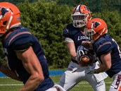 Lions si v Paddock lize mohou zajistit první místo