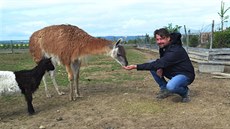Návštěvníci v zahradě u Luďka Hojného najdou nejen tuzemská zvířata. Časem by... Návštěvníci v zahradě u Luďka Hojného najdou nejen tuzemská zvířata. Časem by...