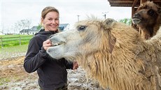 Minizoo na okraji Starého Města Minizoo na okraji Starého Města