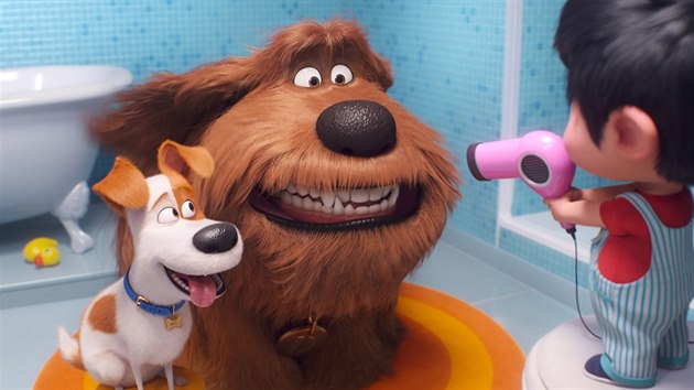 Záběr z animovaného filmu Tajný život mazlíčků 2 Záběr z animovaného filmu Tajný život mazlíčků 2