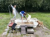 Služby, které nabízejí hotely (nejen) pro psy, se shodují s tím, co si jejich...