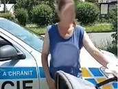 Opilá matka vrávorala s kočárkem Opilá matka vrávorala s kočárkem