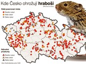 Kde polních hlodavci likvidují pole Kde polních hlodavci likvidují pole