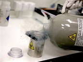 Celosvětový výrobce elektronových mikroskopů a spektrometrů Thermo Fisher... Celosvětový výrobce elektronových mikroskopů a spektrometrů Thermo Fisher...