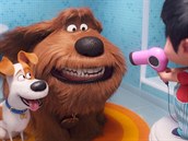 Záběr z animovaného filmu Tajný život mazlíčků 2 Záběr z animovaného filmu Tajný život mazlíčků 2