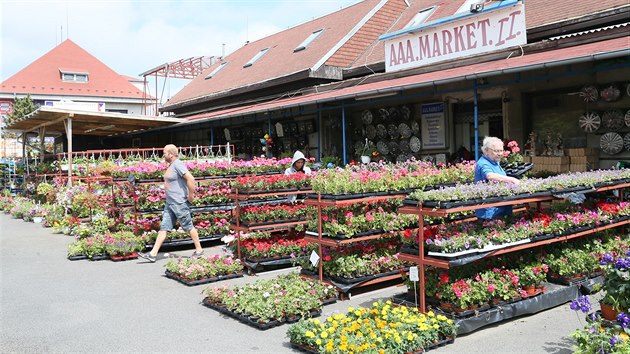 Nepotebnou budovu celnice na bvalm hraninm pechodu na Cnovci m pronajatou soukromnk a provozuje tu free shop. Po vypren smlouvy chce Dub vyut objekt pro sebe.