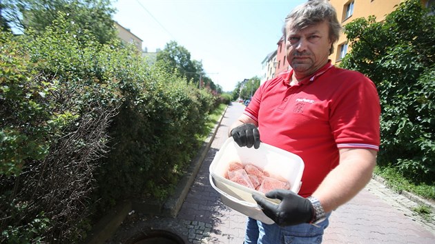 Samiky potkana pi porodu pivedou na svt okolo
deseti mlat, bez jsou obvykle nkolikrt do roka. Jejich poty se tak mus umle sniovat. Nstrahy rozmsuj deratiztoi v Brn dvakrt ron.