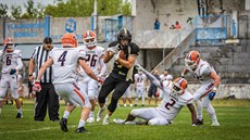 Lions poprvé v Paddock lize padli. I tak je čeká semifinále doma