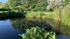 Břehy jezírka jsou porostlé řadou bylin. Je tu levandule, máta, meduňka, v... Břehy jezírka jsou porostlé řadou bylin. Je tu levandule, máta, meduňka, v...