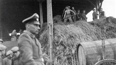 Vězni tábora v Lípě při práci. V popředí SS dozorce tábora Anton Schmeiler.... Vězni tábora v Lípě při práci. V popředí SS dozorce tábora Anton Schmeiler....