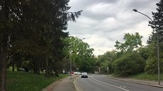 Radnice Prahy 6 nechala pokácet ve čtvrti Ořechovka dvě desítky stromů, které... Radnice Prahy 6 nechala pokácet ve čtvrti Ořechovka dvě desítky stromů, které...