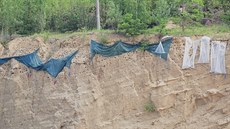 V pískovně u Ondratic na Prostějovsku překrývají plachty místo s norami, ve... V pískovně u Ondratic na Prostějovsku překrývají plachty místo s norami, ve...