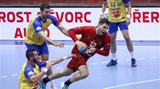 Momentka ze zápasu Česka republika - Bosna a Hercegovina Momentka ze zápasu Česka republika - Bosna a Hercegovina