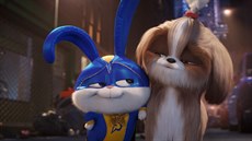 Záběr z animovaného filmu Tajný život mazlíčků 2 Záběr z animovaného filmu Tajný život mazlíčků 2