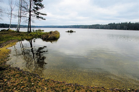 Stakovský rybník patí k oblíbeným cílm rybá z celé republiky.