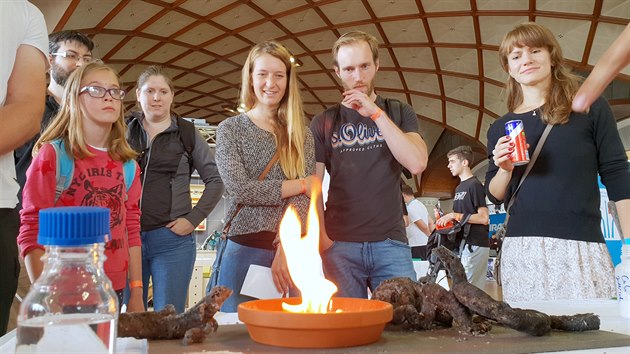 Stánek Technetu - oživlý had z jedlé sody a cukru Stánek Technetu - oživlý had z jedlé sody a cukru