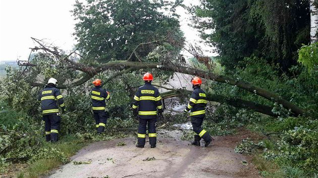 Vce jak tyicetkrt vyjdli jihomoravt hasii bhem tvrtka odstraovat nsledky bouky. Nejastji erpali zatopen prostory a odstraovali popadan vtve a stromy.