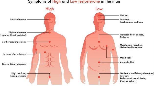 Vysok hladina testosteronu s sebou nese siln libido, ale i nemoci jater a ledvin. Nzk zase nespavost, nemoci srdce.