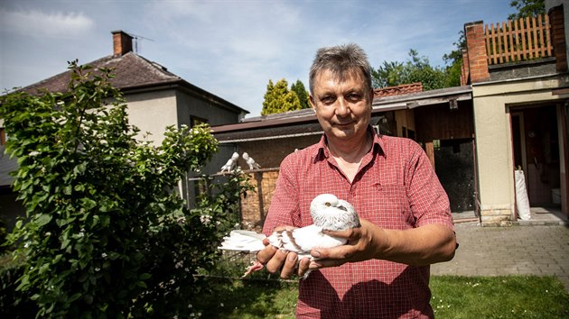 Chovatel holubů Josef Blokeš