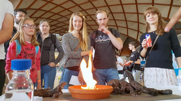 Stánek Technetu - oivlý had z jedlé sody a cukru