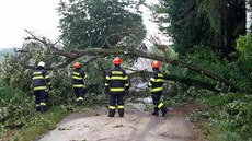 Více jak tyicetkrát vyjídli jihomoravtí hasii bhem tvrtka odstraovat...