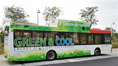 Singapurská dopravní spolenost SBS Transit provozuje autobusy se zelenou...